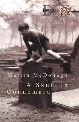 Picture of Skull in Connemara