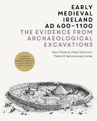 Picture of Early Medieval Ireland AD 400-1100: the Evidence from Archaeological Excavations