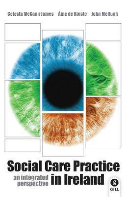Picture of Social Care Practice in Ireland: an integrated perspective