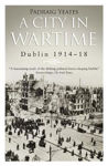 Picture of City In Wartime Dublin 1914-18