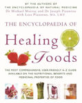 Picture of The Encyclopaedia Of Healing Foods