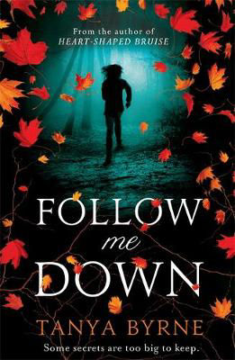 Picture of Follow Me Down