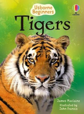 Picture of Beginners: Tigers