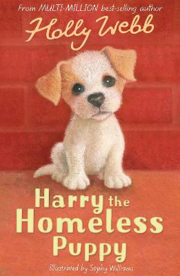 Picture of Harry the Homeless Puppy