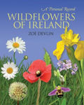 Picture of Wildflowers Of Ireland