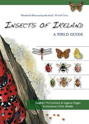 Picture of Insects of Ireland: A Field Guide