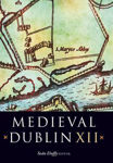 Picture of Medieval Dublin Xii