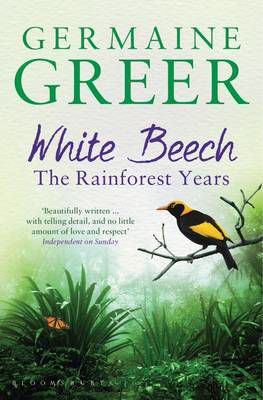 Picture of White Beech: The Rainforest Years