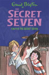 Picture of Fun For The Secret Seven (15)