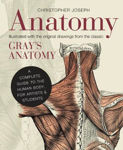 Picture of Anatomy: A Complete Guide to the Human Body, for Artists & Students