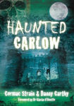 Picture of Haunted Carlow
