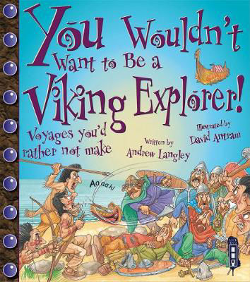 Picture of Viking Explorer