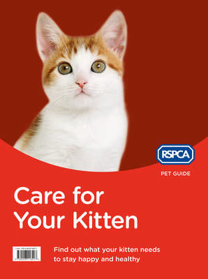 Picture of Care for Your Kitten