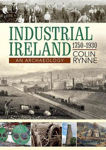 Picture of Industrial Ireland 1750 - 1930: An Archaeology