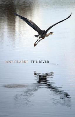 Picture of The River