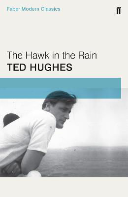 Picture of Hawk In The Rain