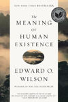 Picture of The Meaning of Human Existence
