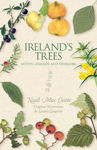 Picture of Ireland's Trees: Myths, Legends & Folklore