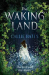 Picture of Waking Land