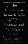 Picture of The Big Picture: On the Origins of Life, Meaning, and the Universe Itself