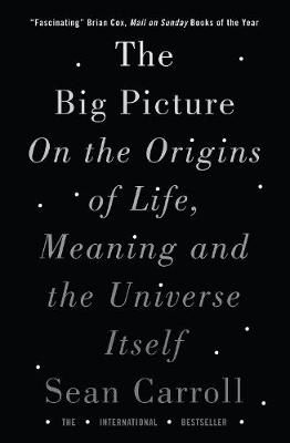 Picture of The Big Picture: On the Origins of Life, Meaning, and the Universe Itself