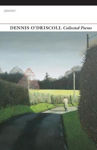 Picture of Collected Poems