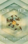 Picture of Clade