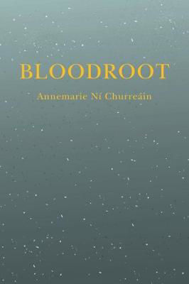 Picture of BLOODROOT