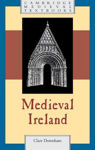 Picture of Medieval Ireland