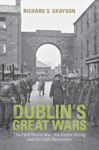 Picture of Dublin's Great Wars: The First World War, the Easter Rising and the Irish Revolution