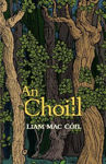 Picture of An Choill