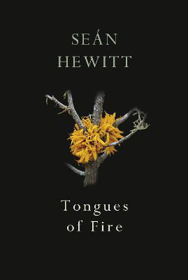 Picture of Tongues of Fire
