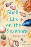 Picture of Shell Life on the Seashore