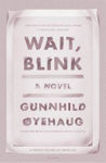 Picture of Wait, Blink: A Perfect Picture of Inner Life: A Novel