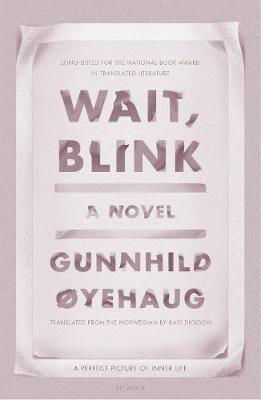 Picture of Wait, Blink: A Perfect Picture of Inner Life: A Novel