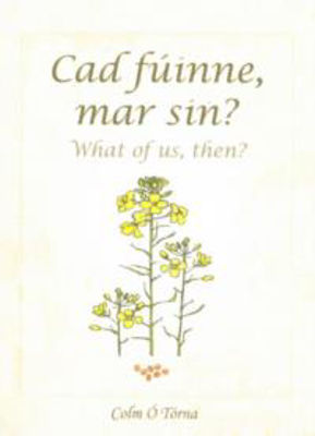 Picture of Cad Fuinne, Mar Sin?  What Of Us, Then?
