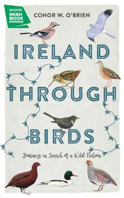 Picture of Ireland Through Birds: In Search of Ireland's Most Elusive Birds