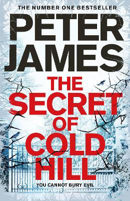 Picture of Secret of Cold Hill