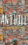 Picture of Anthill