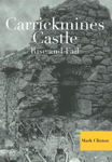 Picture of Carrickmines Castle: Rise and Fall