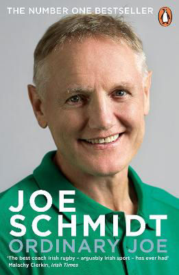 Picture of Ordinary Joe