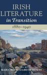 Picture of Irish Literature in Transition, 1880-1940: Volume 4
