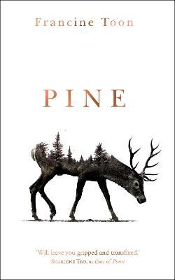 Picture of Pine