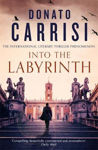 Picture of Into the Labyrinth