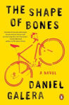 Picture of The Shape Of Bones: A Novel