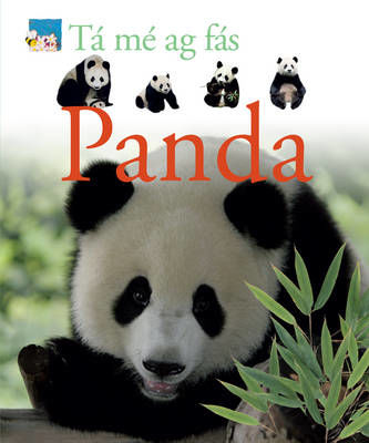 Picture of Tá mé ag Fás : Panda