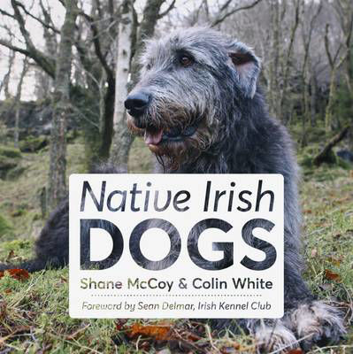Picture of Native Irish Dogs