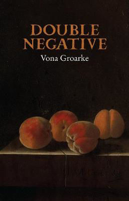 Picture of Double Negative - Vona Groarke 88pp