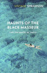 Picture of Haunts of the Black Masseur: The Swimmer as Hero