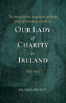 Picture of Our Lady of Charity in Ireland